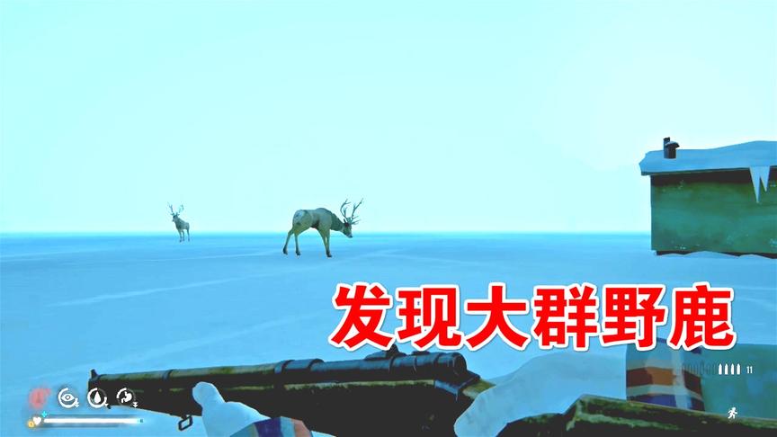 漫漫长夜37：来到钓鱼营地，冰湖上大群野鹿