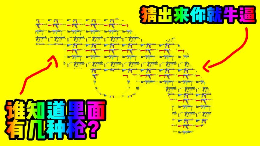 谁能看出里面有几种枪？