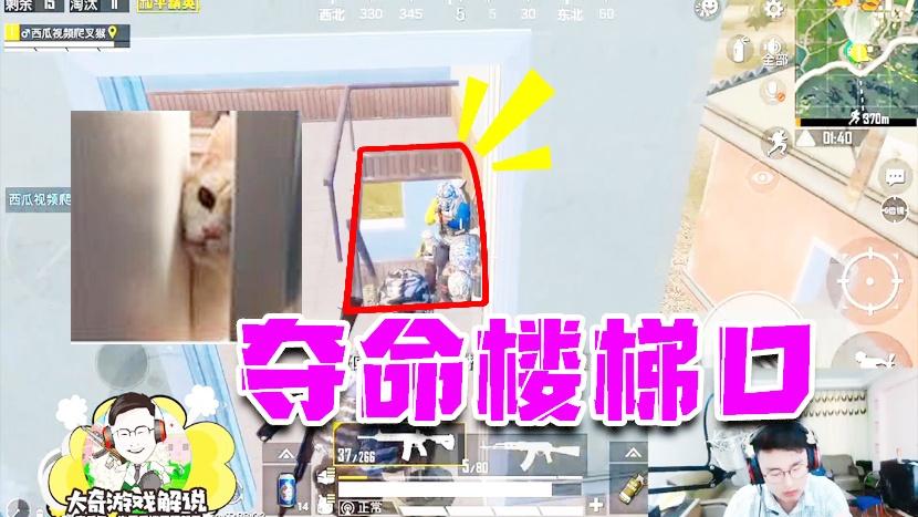 和平精英：楼梯间大堵车！老黄瓜狂风扫落叶4杀灭队！