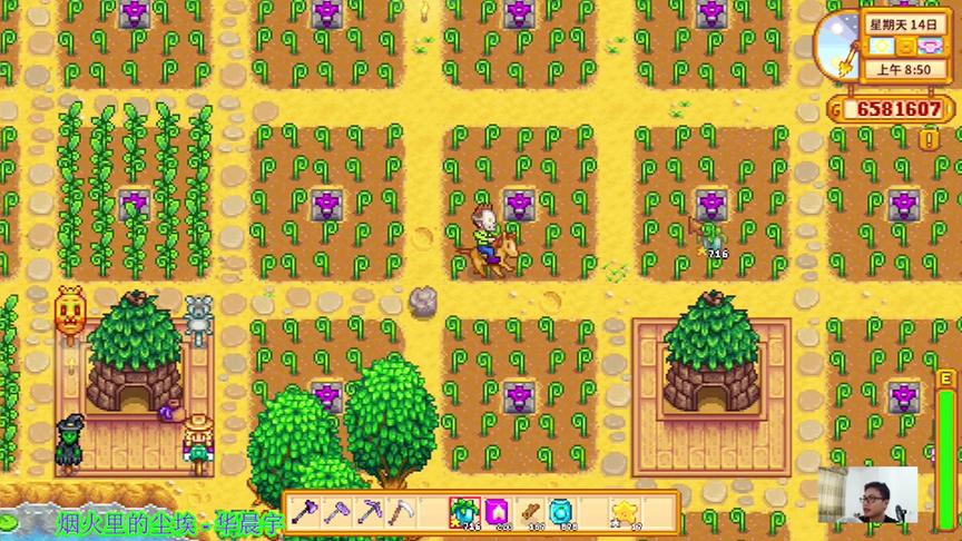 星露谷物语EP100：全自动1080个上古水果，自动灌溉收获