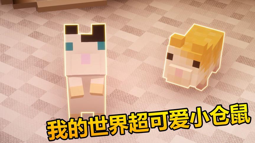 我的世界：饲养小仓鼠，给它们建个可爱的家！