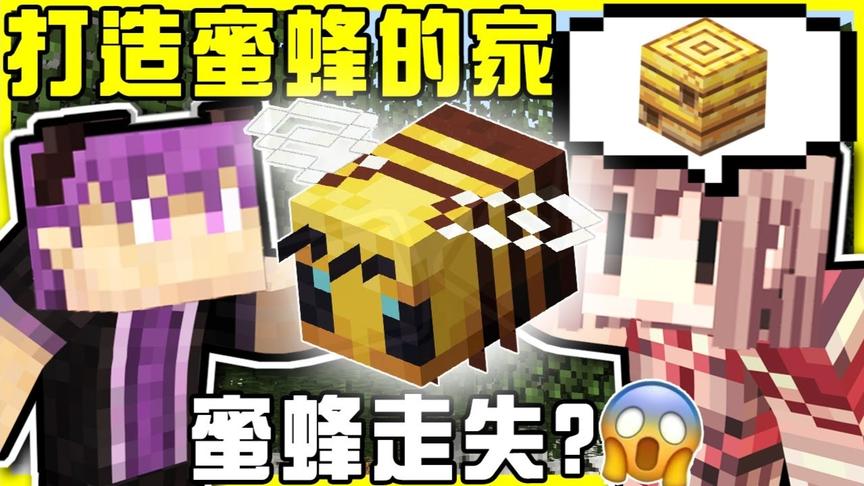 神谦联手打造一个蜜蜂温暖的家！！桦木打底玻璃造景再加上一棵树