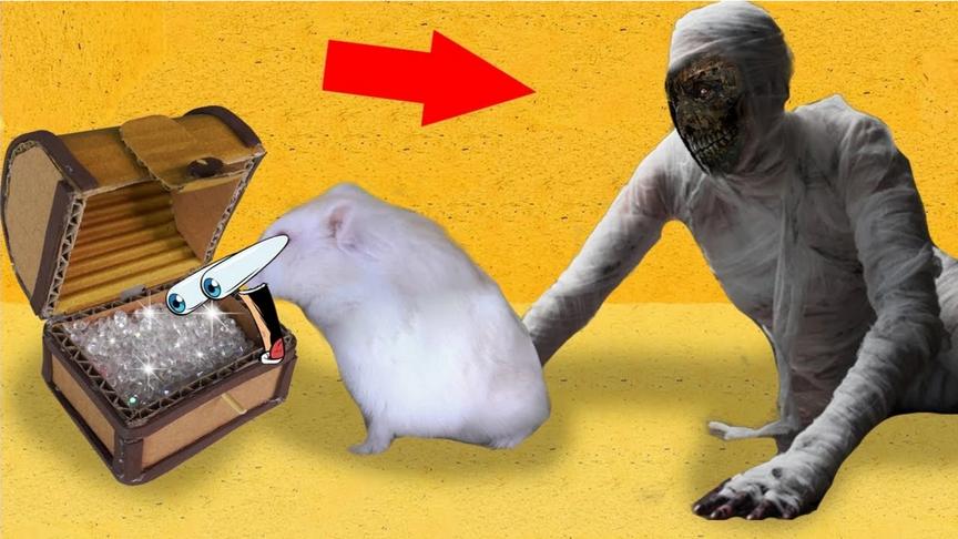 小仓鼠墓穴探宝不料遭遇可怕木乃伊追击 小鼠能否逃出生天