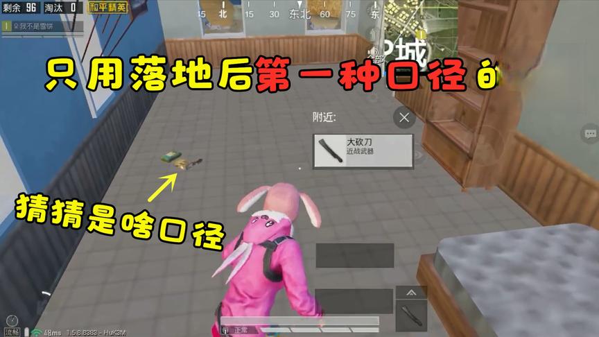赏金猎人雪凌：只用落地后第一种口径的枪，你猜是什么口径？