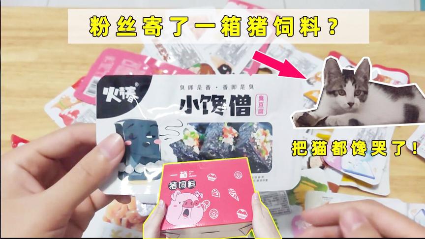 十七解说：粉丝给我寄了一箱猪饲料？小鱼干把我的猫馋哭了！