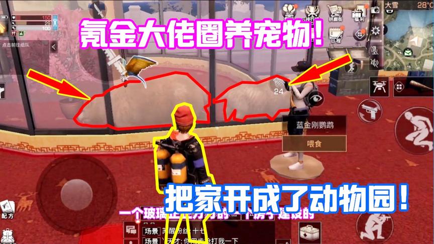 明日之后623：氪金5万的大佬建了个动物园？笼子里养了猪和熊！