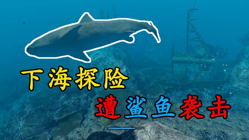 荒岛求生第5天：在海里寻找宝物，结果鲨鱼已经来到身边！