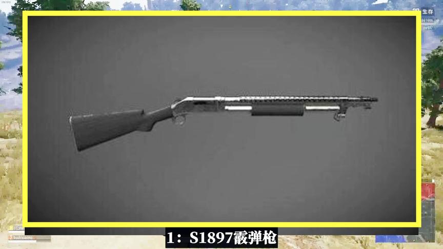 吃鸡小讲堂：如果要删除1把武器，你选什么？它们消失都没人发觉