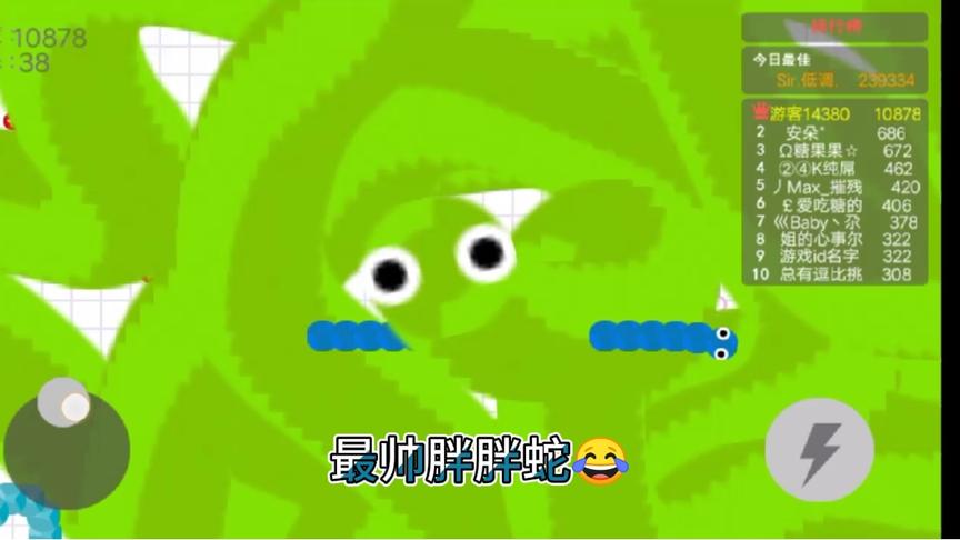 最帅胖胖蛇