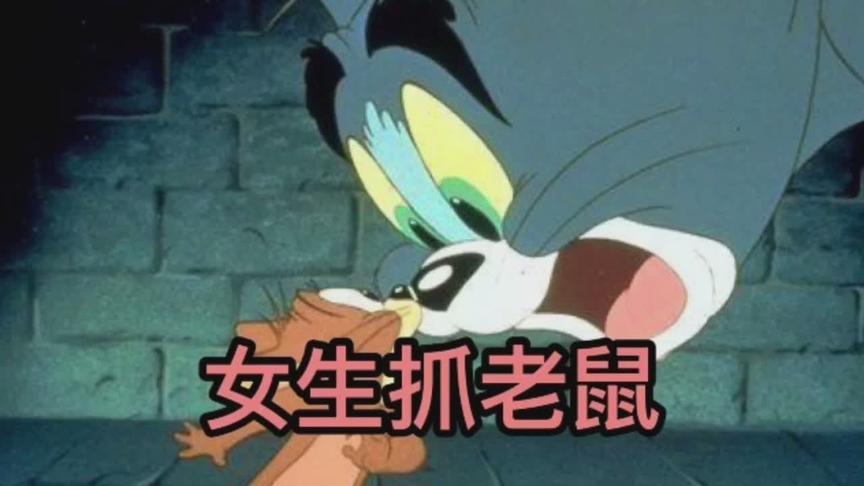 猫和老鼠:女生猫和男生猫的区别是怎么样的呢？进来一起了解一吧