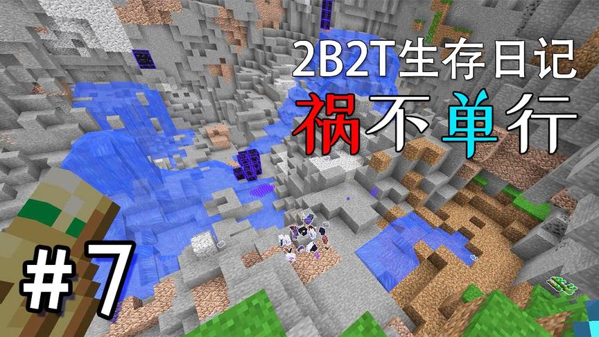 2B2T生存日记：小豆成为众矢之的？一次又一次的被老外黑粉拆家！