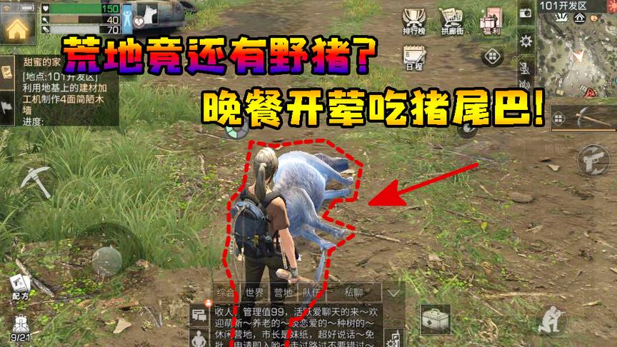 明日之后10：荒地竟还有野猪？晚餐开荤吃猪尾巴！
