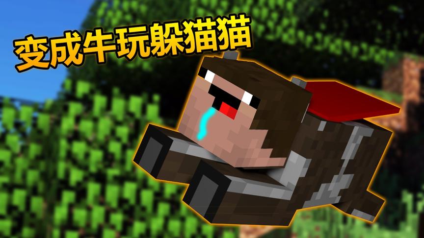 我的世界：玩躲猫猫的最强技巧！最危险的地方最安全！