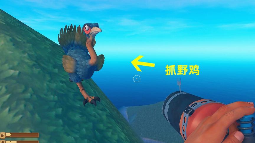 木筏求生联机52！我在岛上发现一只野鸡，蹦蹦跳跳太难抓了