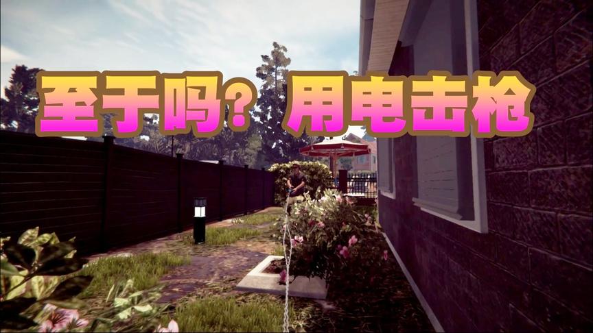 小林 小偷模拟器 偷了点东西，至于用电击枪吗？过分！