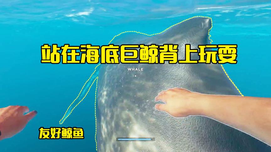 荒岛求生12：来到深海遇见友好的鲸鱼，站在它背上会表演翻身技能