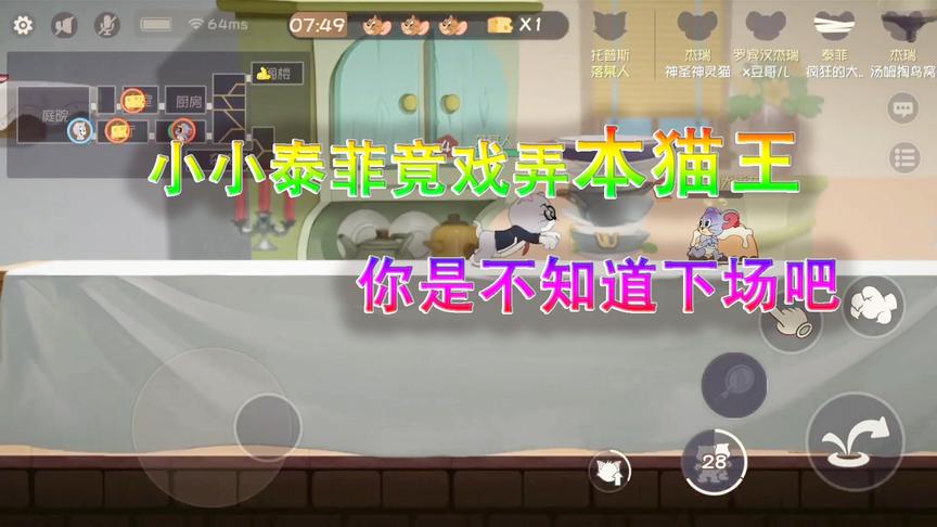 猫和老鼠手游：小小的泰菲居然敢戏弄本猫皇，这可是死罪啊