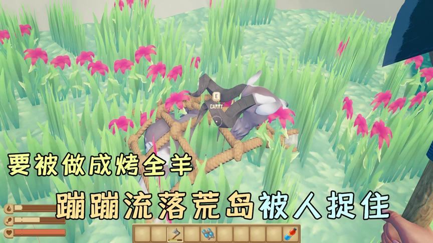 木筏求生72：蹦蹦漂流到荒岛，被人捉住，即将被做成烤全羊？