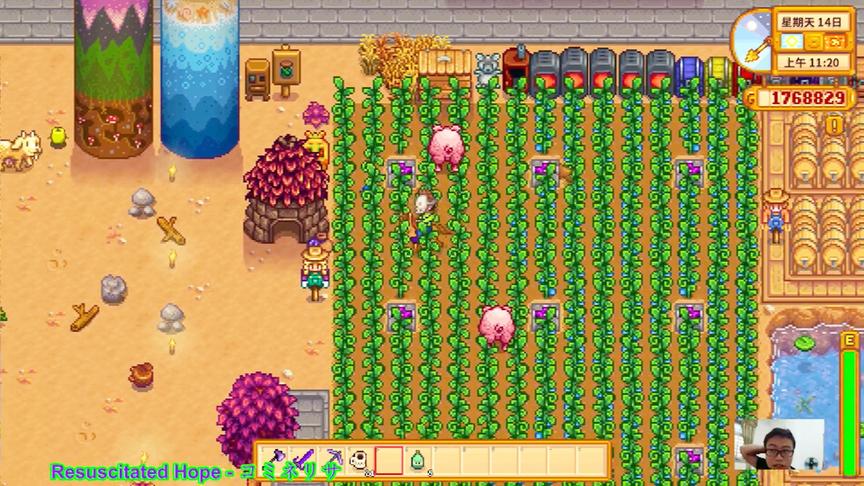 星露谷物语EP96：千万富翁成就达成