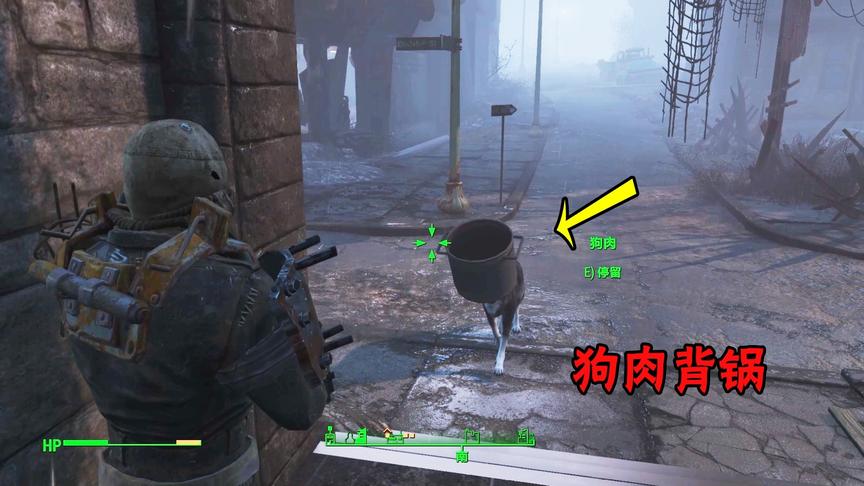 辐射05：二哈有多不靠谱？我让它去刺探敌情，它却背了口锅回来