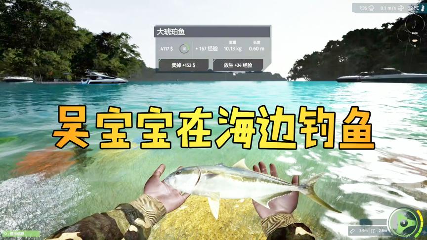 模拟钓鱼：吴宝宝和表妹来海边钓鱼 他们钓的鱼长得都很漂亮