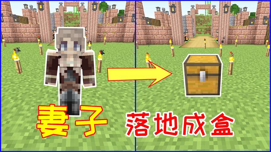 生活大冒险108：妻子被击败变成箱子，这才叫做落地成盒！