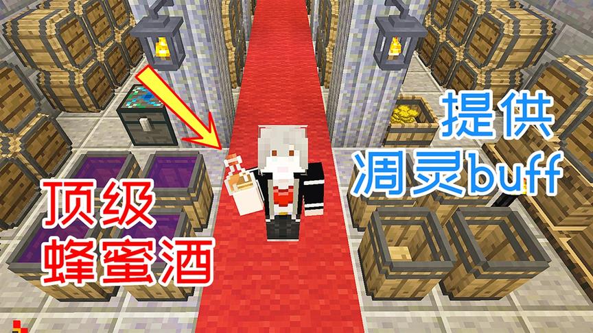 生活大冒险92：一瓶完美的蜂蜜酒，喝下去能免疫boss凋灵！