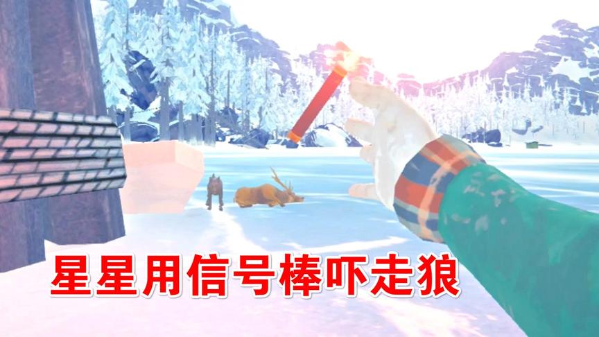 漫漫长夜49：遇见3头野鹿，星星引狼咬它们！