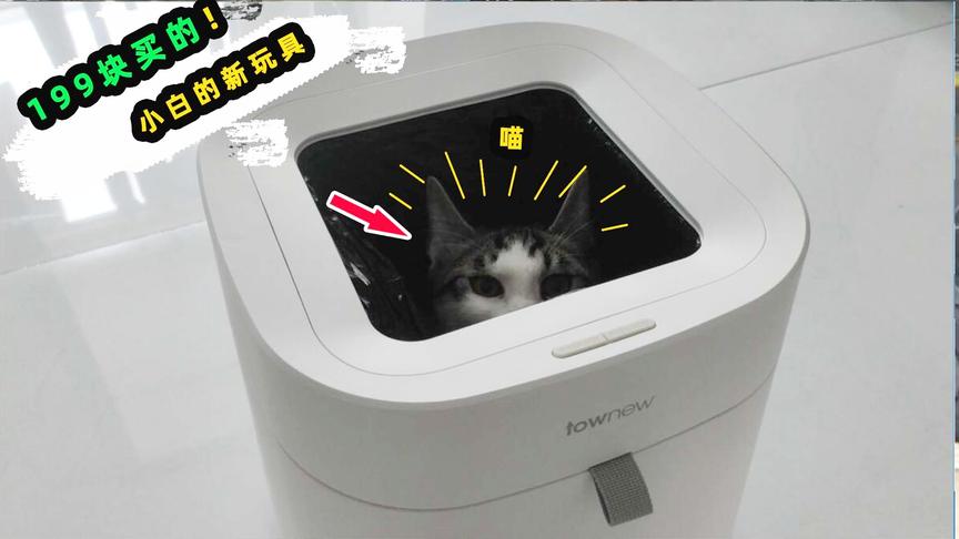 十七生活VLOG：花199块买的智能垃圾桶！刚打开就被猫咪霸占了！