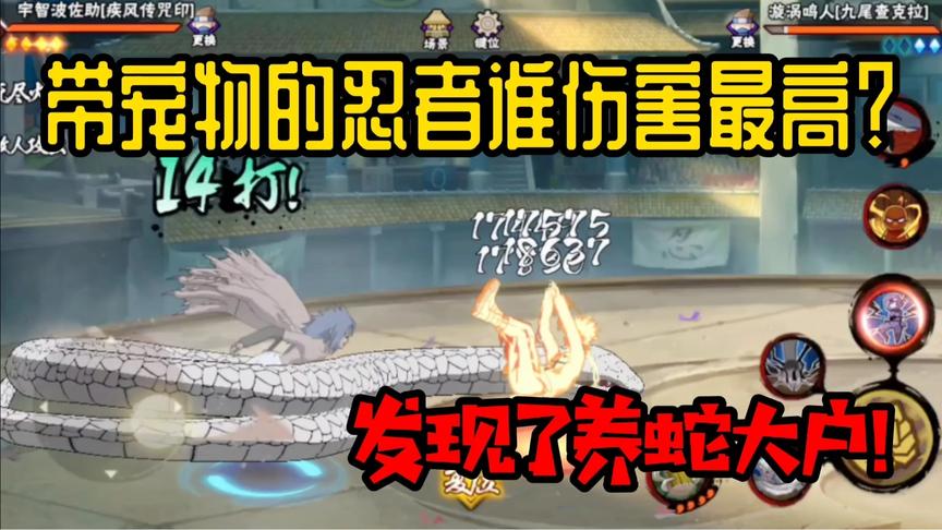 带宠物的忍者谁伤害最高？萝莉道:我带着的是未来要出的通灵兽