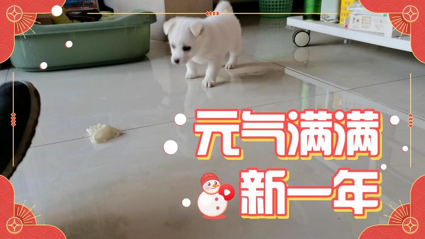 正月初六老梁生日 西瓜视频