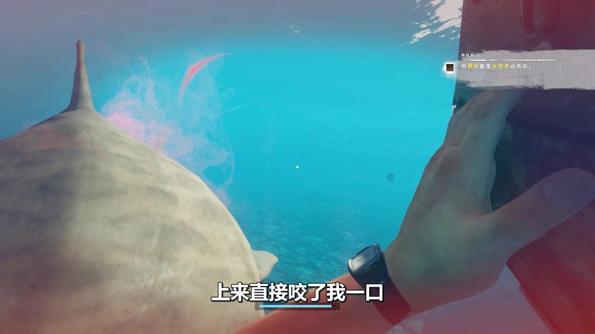 荒岛求生01：第一天就被鲨鱼狂咬，命悬一线！最后鲨鱼良心发现了