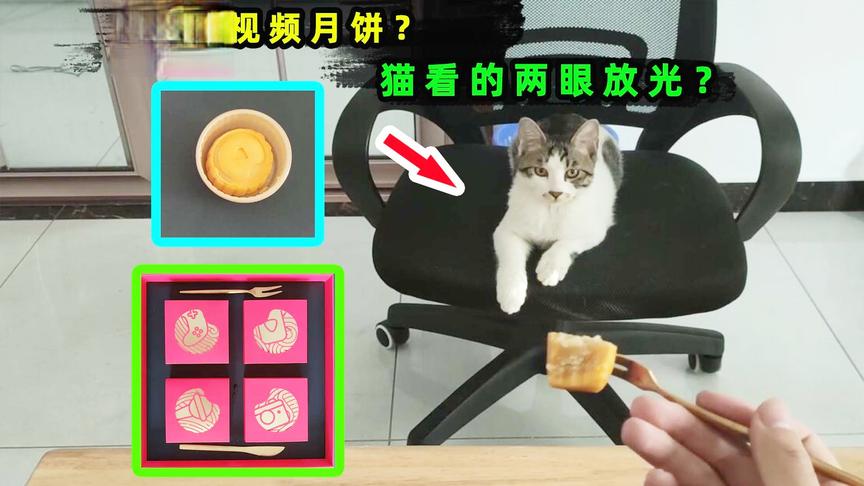 西瓜视频寄来神秘中秋节礼盒！是什么好吃的，让小白两眼放光！