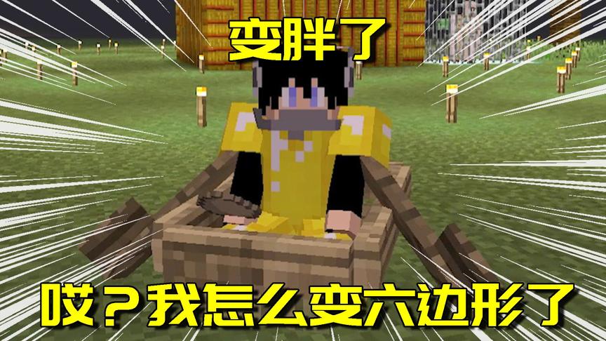 我的世界Mod：MC模型改成六边形会发生什么？从未见过的新世界！