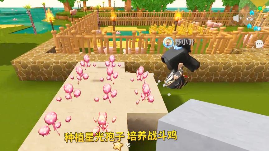 迷你世界198：我和贤弟返回地球，种植星光孢子，准备培养战斗鸡