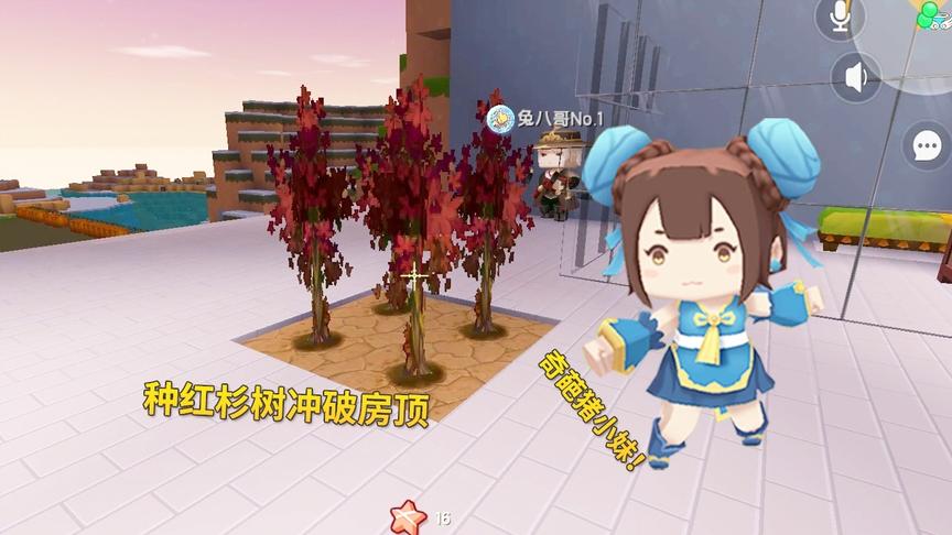 迷你世界极限联机18：猪小妹异想天开，想崔大红杉树，冲破房顶！
