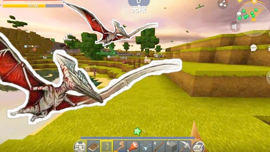方舟生存计划，打败了5只翼龙后，终于成功获得了一只翼龙。