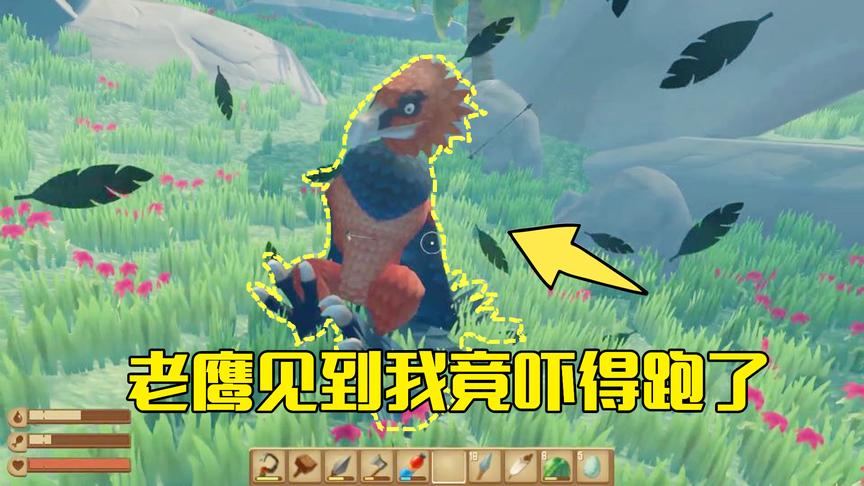 木筏求生番外篇02：来到岛屿上找老鹰决斗，它看到我竟不敢下来
