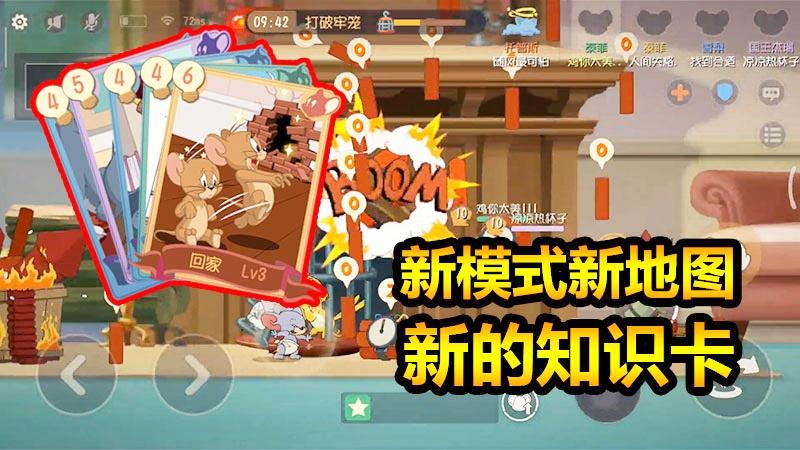 随风猫皇之路24：共研服新知识卡出炉，快来了解新的玩法！