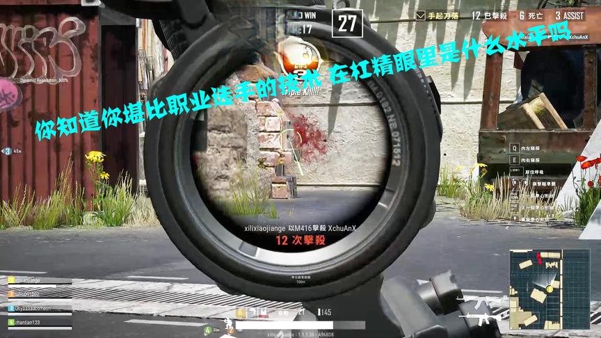 你堪比职业的游戏水平 在杠精眼中是什么水平？