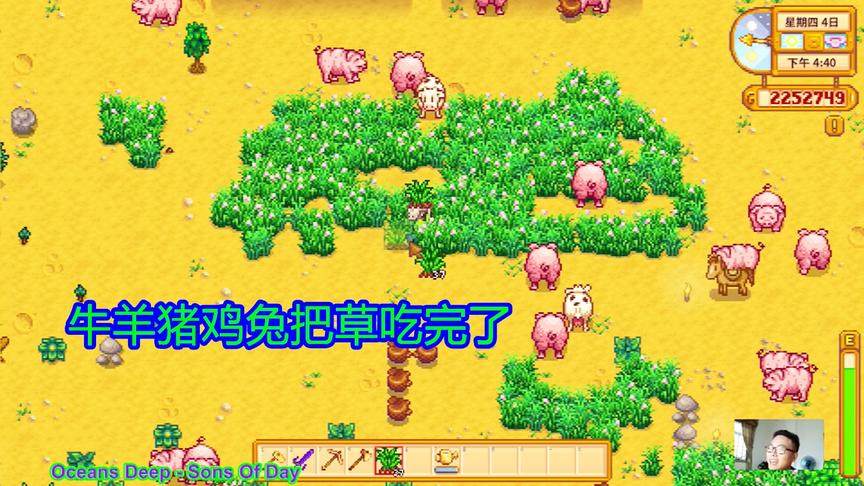 星露谷物语EP89：动物太多了，草都不够吃，只能一直种草