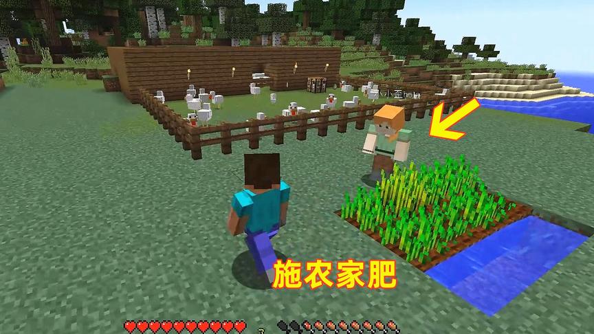 我的世界第7期！为了让小麦长得更快，儿子对着它嘘嘘当做农家肥
