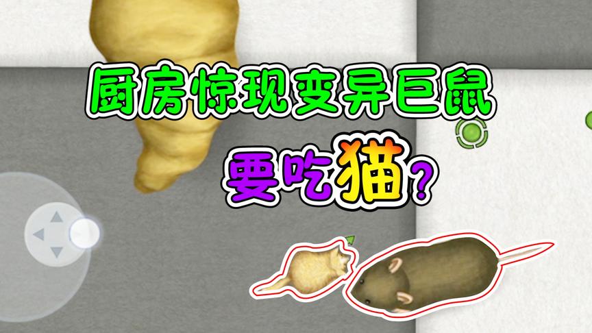 美味星球：厨房里出现巨型老鼠！偷吃东西还咬猫？