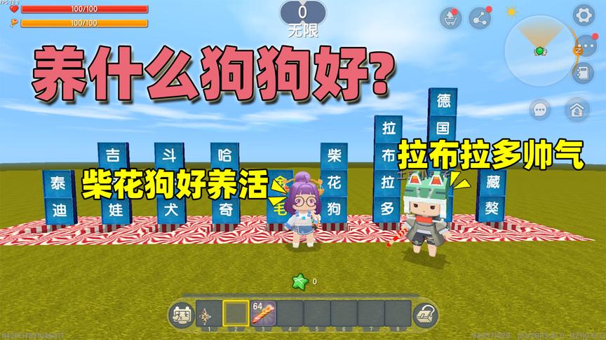 迷你世界：养什么狗狗好？半拉喜欢柴花狗，土豆觉得拉布拉多帅气