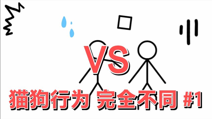 第几次了？点个关注吧😉