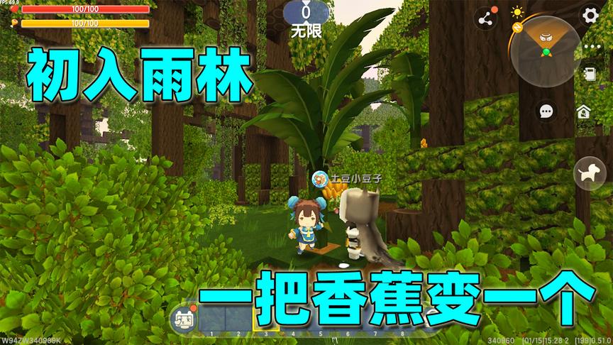 迷你世界：半拉土豆雨林生存，想驯服猴子，可一把香蕉摘下变一个