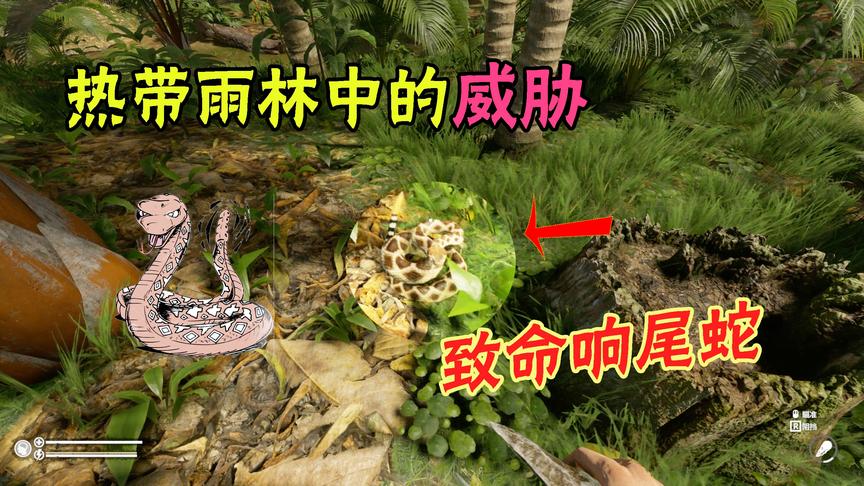 绿色地狱2：在热带雨林被蛇咬伤该怎么办？我用这个方法活了下来