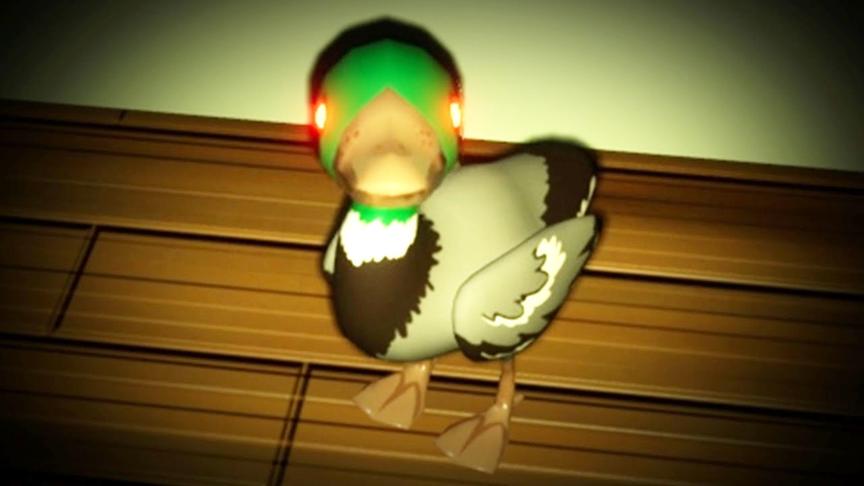 惊奇鸭子：大半夜在家里竟被一群鸭子吓的满屋跑