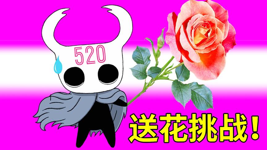 520送花挑战——你见过如此娇嫩的花吗？小宝趣玩