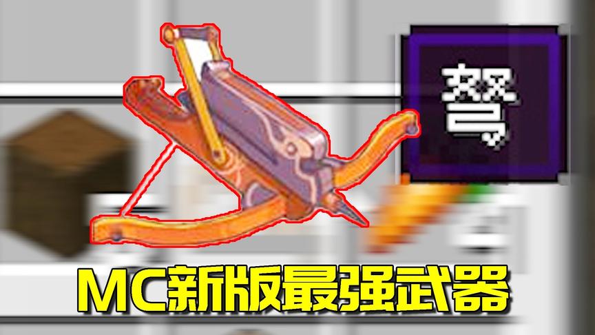 我的世界生存日记8：我居然拿到了掠夺者的武器？新版本最强武器